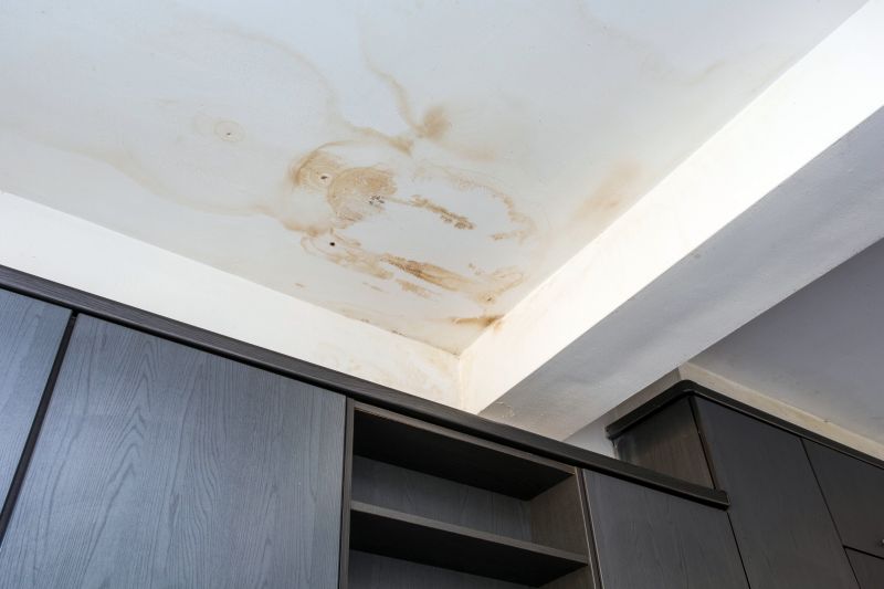 Ceiling Leak Repair Service in Denver County, CO