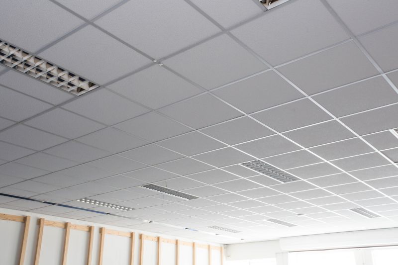 Drop Ceiling Tiles Installation