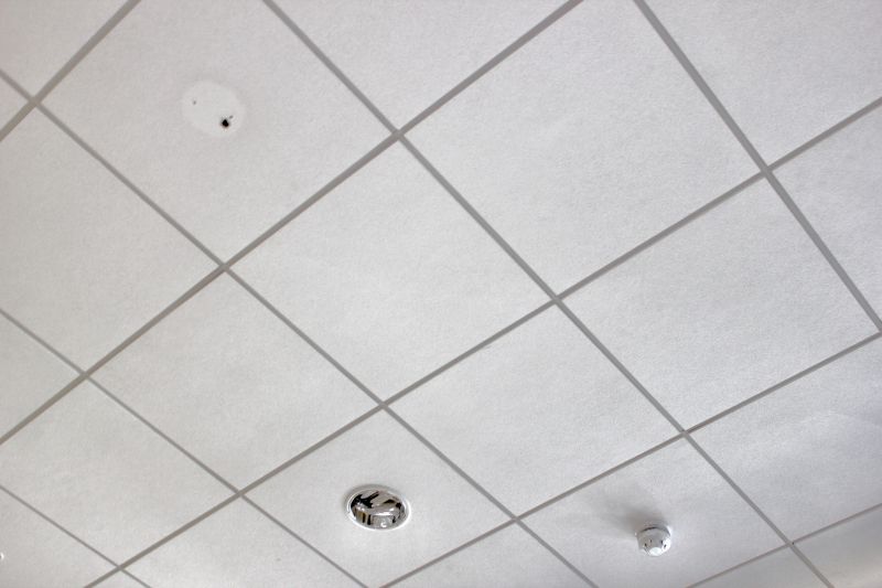 Drop Ceiling Tiles Installation