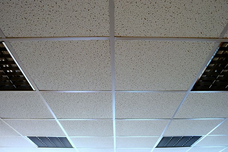Suspended Ceiling with Lighting
