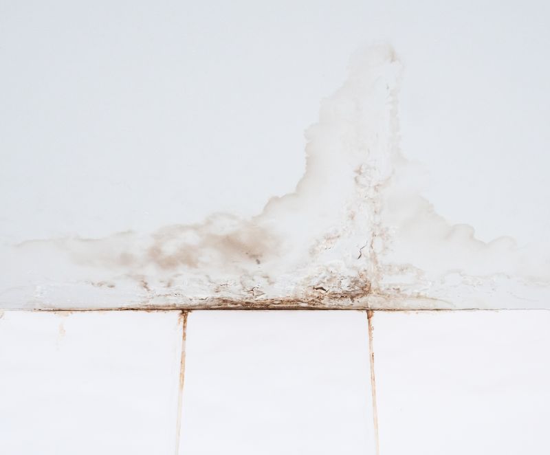 Leaking Ceiling Repair in Santa Rosa, CA